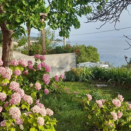 Apartments Mare Croatia Senj  Exterior photo
